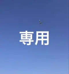 専用