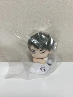 ハイキュー!! おねむたん vol.2 牛島若利