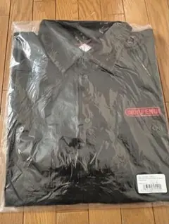 Item thumbnail for item c3bee0e0-a6f5-4342-9e22-f63e81ed6063