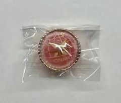 プロセカ　望月穂波　リングライト