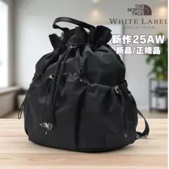 韓国限定　25AW新作　完売品　ノースフェイス ボニーパック M