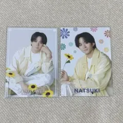 FANTASTICS 澤本夏輝 トレカ SUNFLOWER