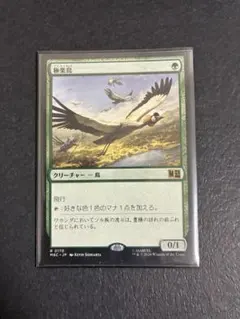 極楽鳥 日本語版 MTG