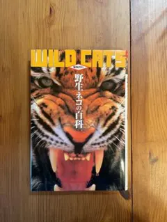 Item thumbnail for item 032a3b11-31d9-4cbb-9122-7bb99183d598