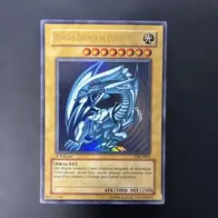2026年最新】青眼の白龍 ポルトガルの人気アイテム - メルカリ