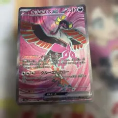 キチキギスex SAR スカーレット&バイオレット 拡張パック ナイト