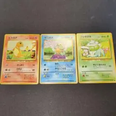 旧裏 旧裏面 御三家 ヒトカゲ ゼニガメ フシギダネ ノーマル