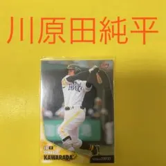 川原田純平 カード
