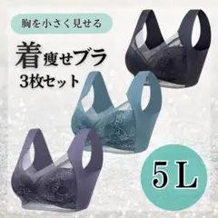 ナイトブラ 5L シームレス 着痩せブラ ノンワイヤー 大きいサイズ 美胸 3枚