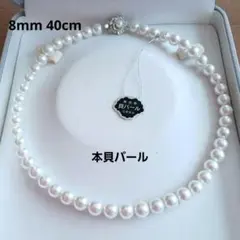 8㎜40㎝本貝パールホワイト ネックレス単品 卒業式・入学式・冠婚葬祭 ✨