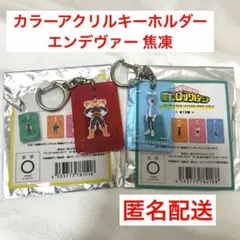 カラーアクリルキーホルダー エンデヴァー 焦凍