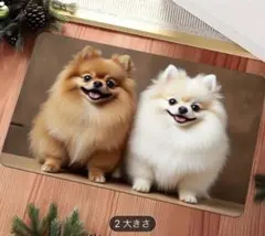 Item thumbnail for item 9a833002-f19d-4b46-bf44-895b0bcf4569