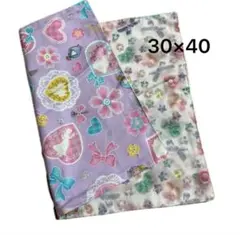 Item thumbnail for item a7ff9c99-8f3b-49e9-a3e2-bc25665608e1