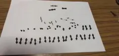 Kadee No.5 カプラー エンドウ、カトーのカプラーの3種類まとめてですのサムネイル