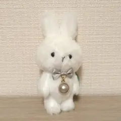 ハッピーバースカラー　パステルラビット　 ４月　白