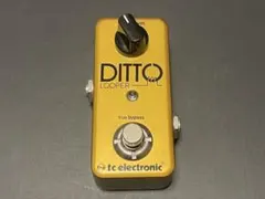 tc electronic DITTO LOOPER 限定カラー