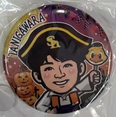 福岡ソフトバンクホークス 谷川原選手 缶バッジ 若鷹ガチャ