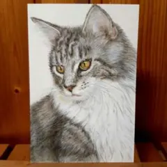 猫 絵画
