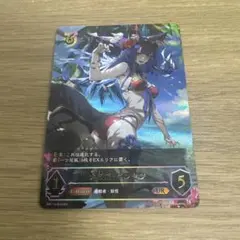 2025年最新】シャドウバースエボルヴ urの人気アイテム - メルカリ