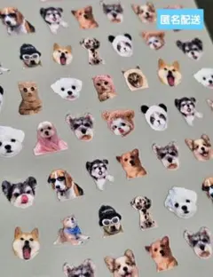 s73 猫 犬 ネイルシール デコシール レジン 素材 デコパーツ 柴犬