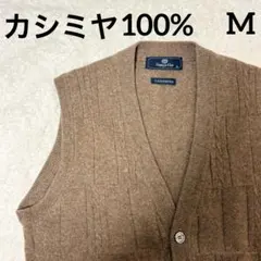 Item thumbnail for item 3dfc3345-bb9d-4229-a605-ebb6ddd61a13