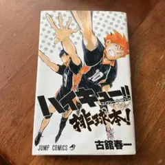 ハイキュー!! 排球本! コンプリートガイドブック