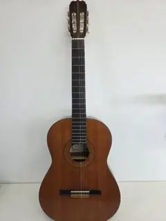2026年最新】zen-on gut guitarの人気アイテム - メルカリ