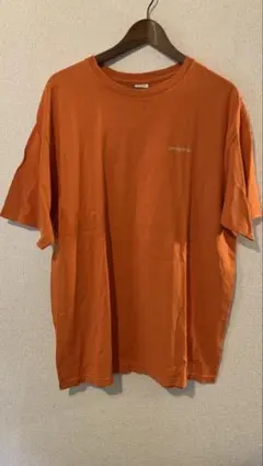 patagonia／バックプリントTシャツ／Ｌサイズ