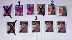 いれいす　実写チェキ