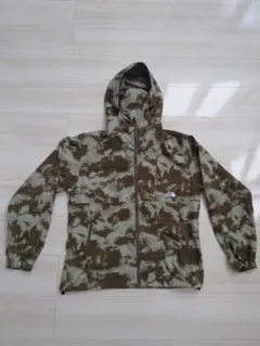 Item thumbnail for item 1795aa74-2ca0-4620-a546-3a7f56b0813a