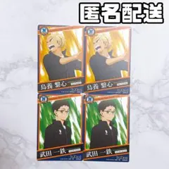 ハイキュー きゃらくたぶるカードグミ Vol.3 カード 烏養繋心 武田一鉄