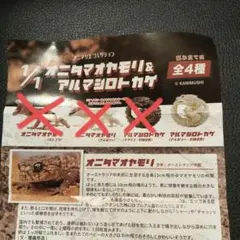 アニマリエコレクション アルマジロトカゲ アイボリー 防御姿勢