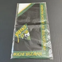 Item thumbnail for item 29802133-6e55-44f6-a7c7-0fb5fac144eb