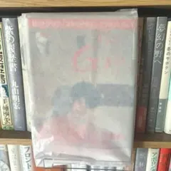 The Gay 第5巻第1号通巻33号 ゲイ・同性愛