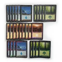 MTG 日本語 基本地形 基本土地 全コンプリート 4ED〜ZNR コレクション MTG 日本語 基本地形 基本土地 全コンプリート 4ED〜ZNR コレクション
