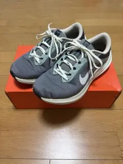 NIKE Winflo 10 エア ウィンフロー 25cm
