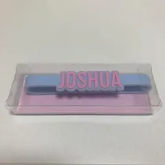 seventeen ペンライトアクセサリー