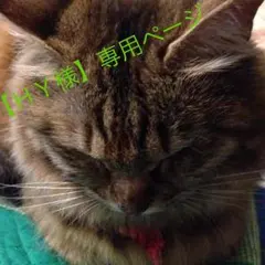 【HY様専用】100㎝ ミキハウス mikihouse オーバーオール（ハーフ）