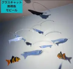 グラスキャット　クラウンローチ　ブラックゴースト　モビール　熱帯魚