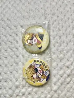 カラフルピーチ　たっつん　缶バッジ　二個セット