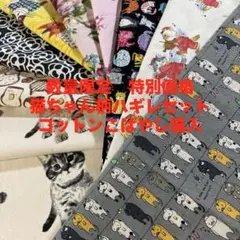 56 SP特別価格　猫ちゃん柄ハギレセット　10枚セット　洗濯猫柄　カメリア猫