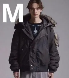 Item thumbnail for item 40be4bda-2920-4545-81fa-7e2c01545581