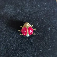 てんとう虫デザイン ピンバッチ