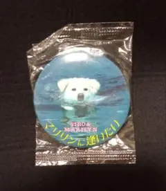 【中古】 マリリンに逢いたい/小学館/野沢尚 2025年最新】マリリンに逢いたいの人気アイテム - メルカリ