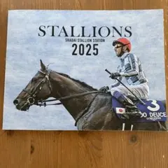 2026年最新】スタリオンブックの人気アイテム - メルカリ