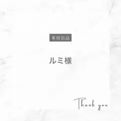 【ルミ様専用】　貯金シート2点