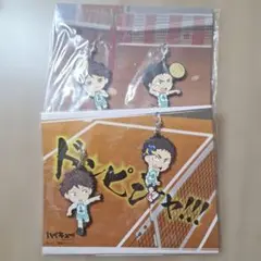ハイキュー ラバスト 及川徹 岩泉一