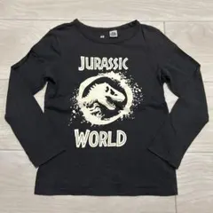 美品 H&M ♡ ジュラシックワールド ロンT 恐竜 ZARA GAP ユニクロ