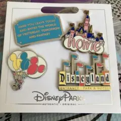 今期 Disney ピーターパン グランドセントラルエアターミナル