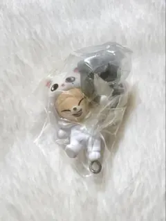 StrayKids SKZOO ガチャガチャ アイエン